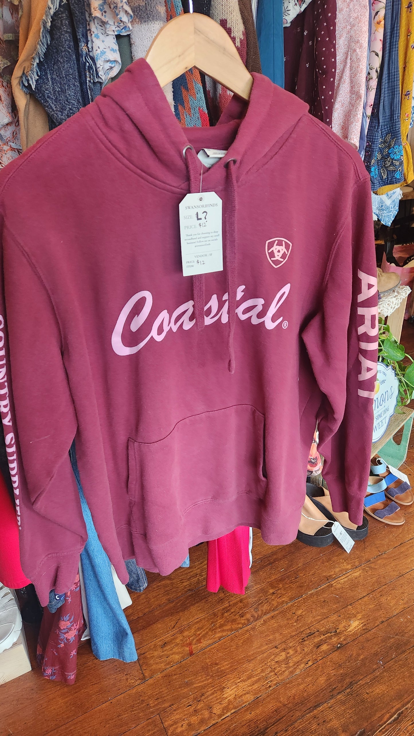 Ariat Coastal Hoodie - Large
