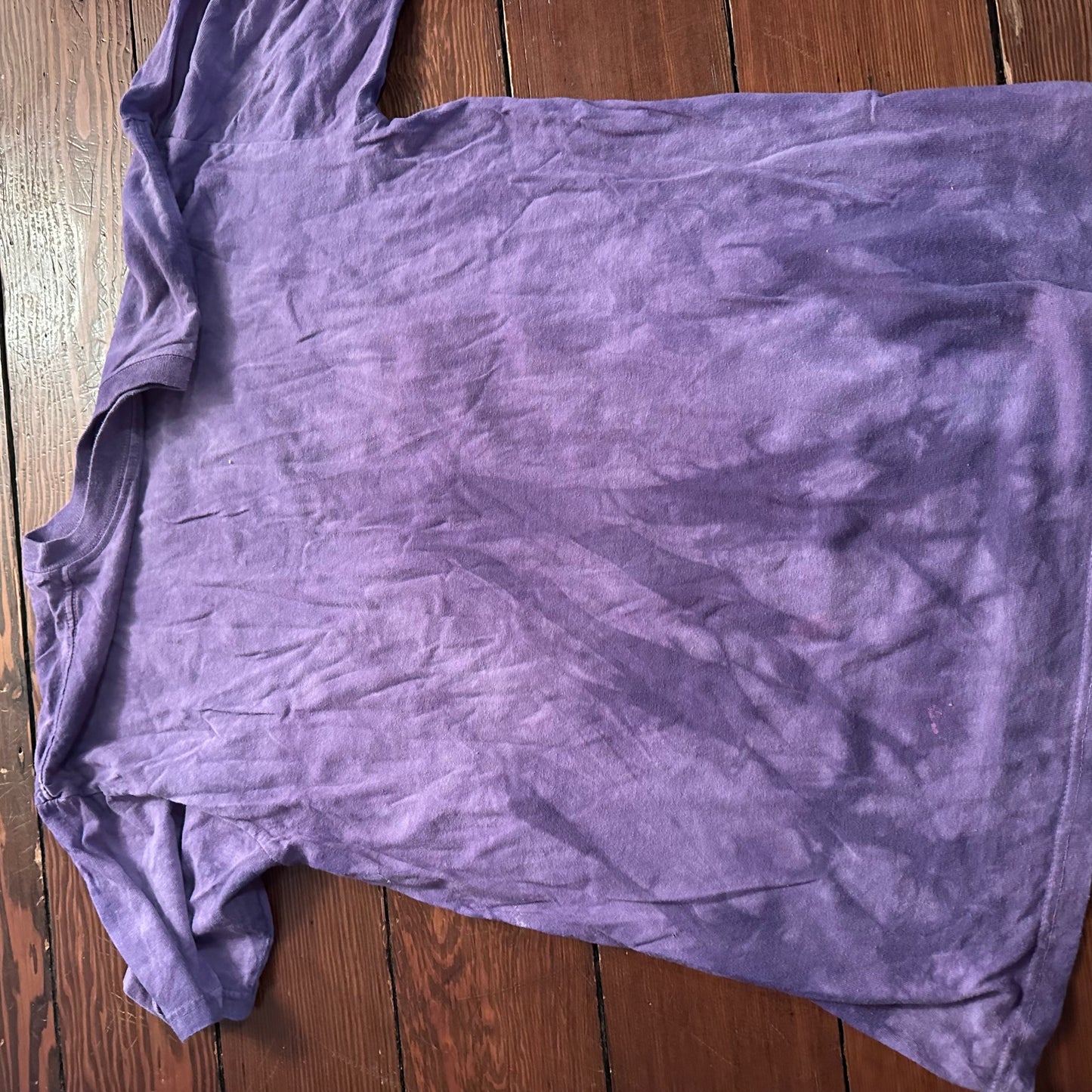 Kitten with Mice Mountain Tee - Size Medium